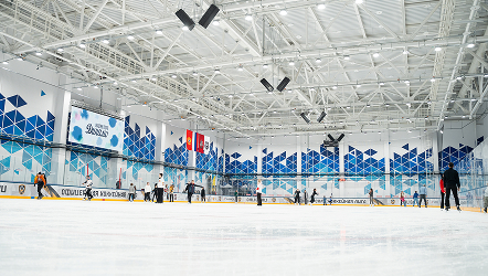 Аренда ледовой площадки