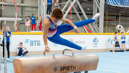 Спортивная гимнастика