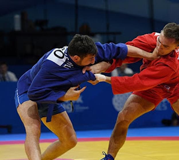 Боевое самбо